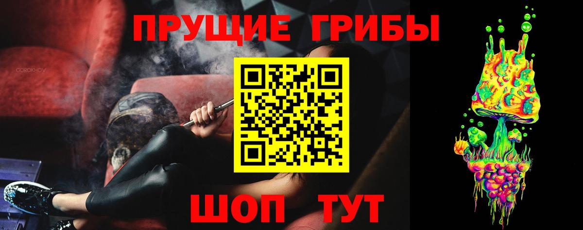 Псилоцибиновые грибы Psilocybe  Вход с VPN  Родники  Галлюциногенные грибы мицелий 
