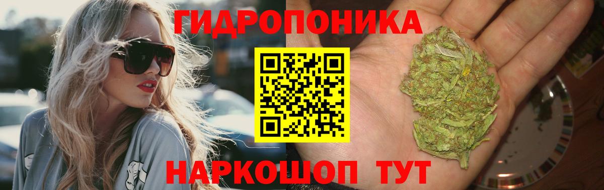 Конопля Bruce Banner  Канабис VHQ  Родники  Вход с VPN  Каннабис конопля 